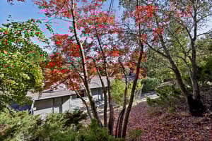 Tahos Rd-054.jpg