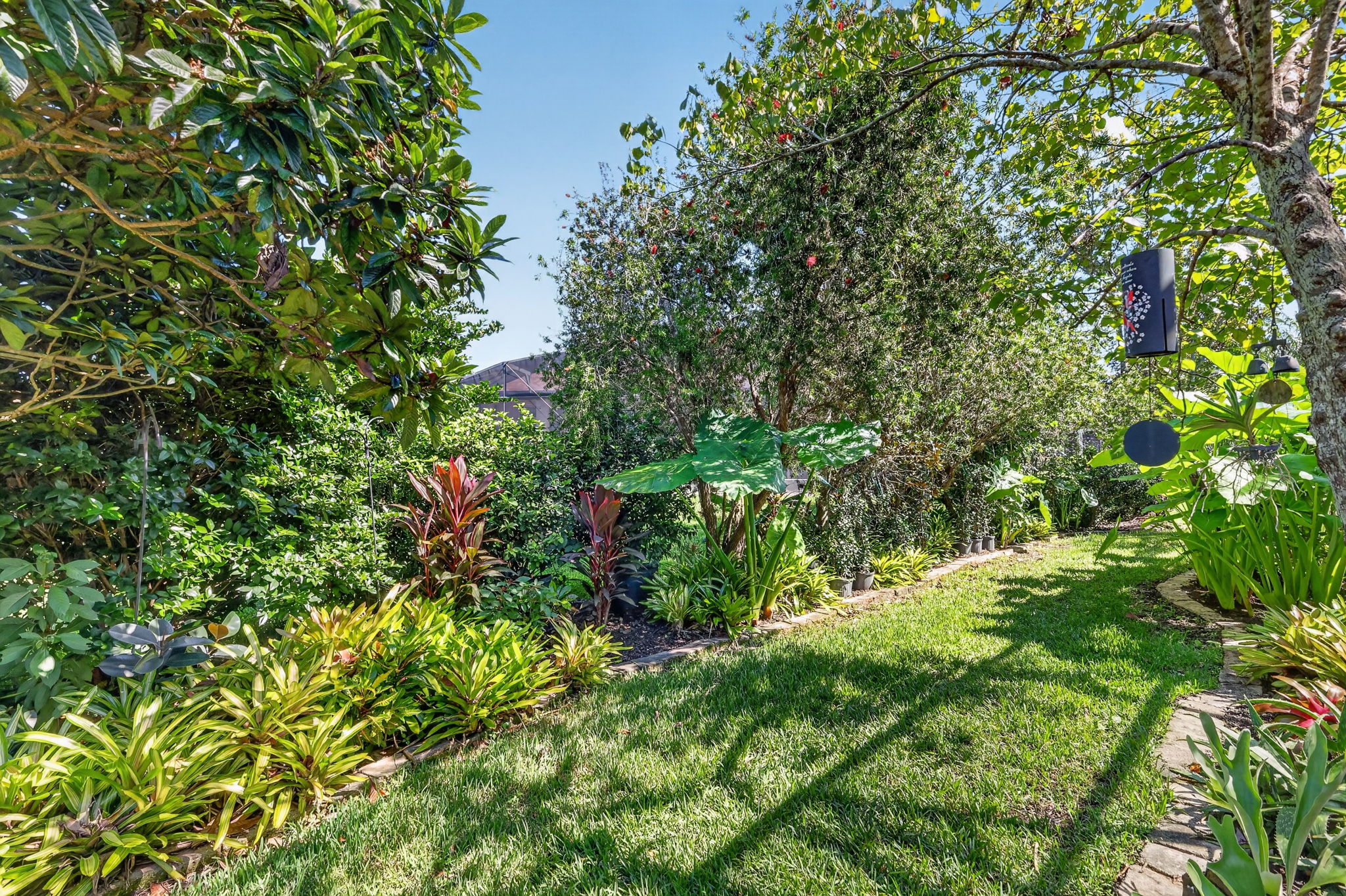 Tropical PRIVACY Landscaping!