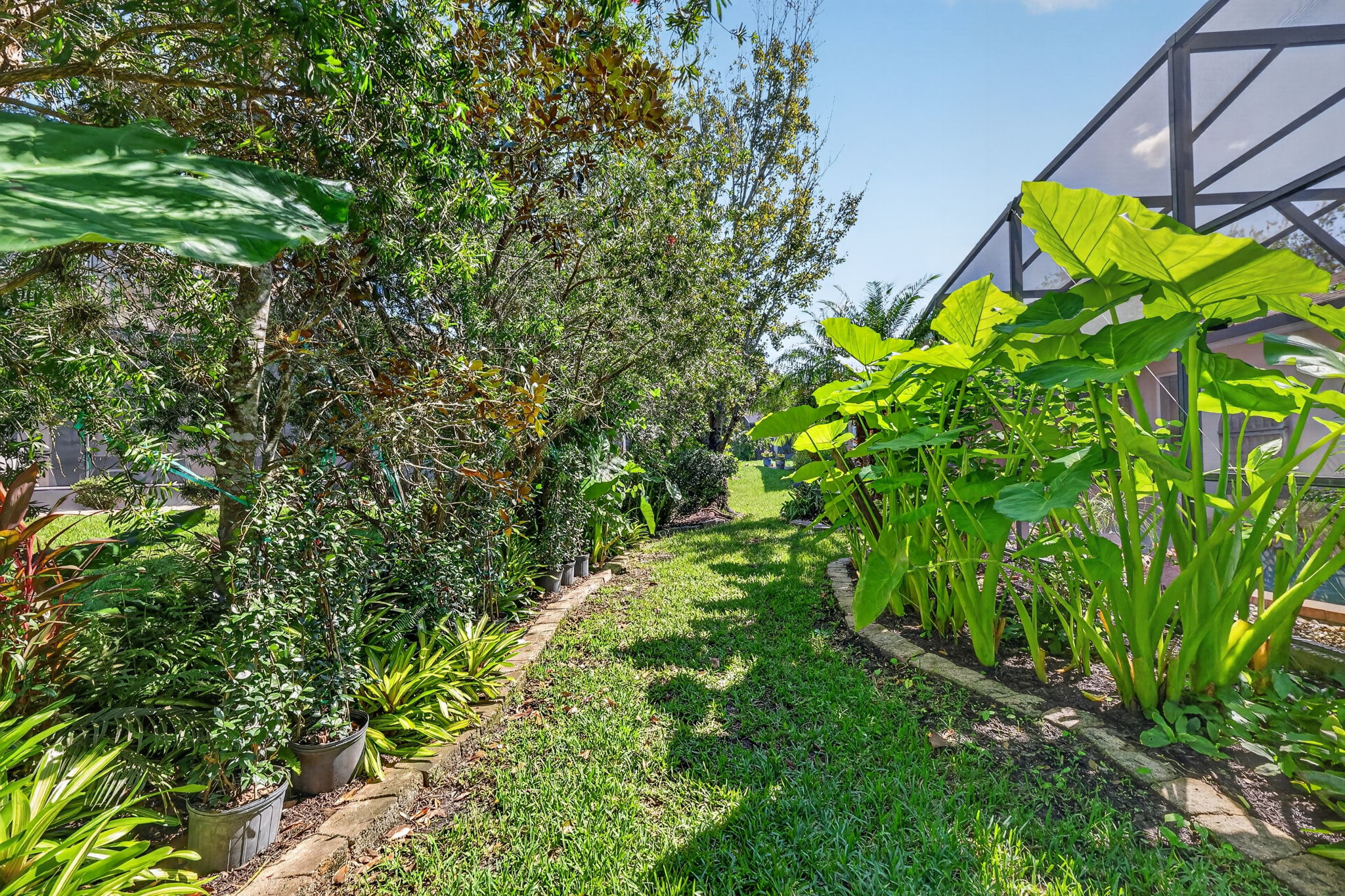Rear Elevation with Tropical PRIVACY Landscaping!