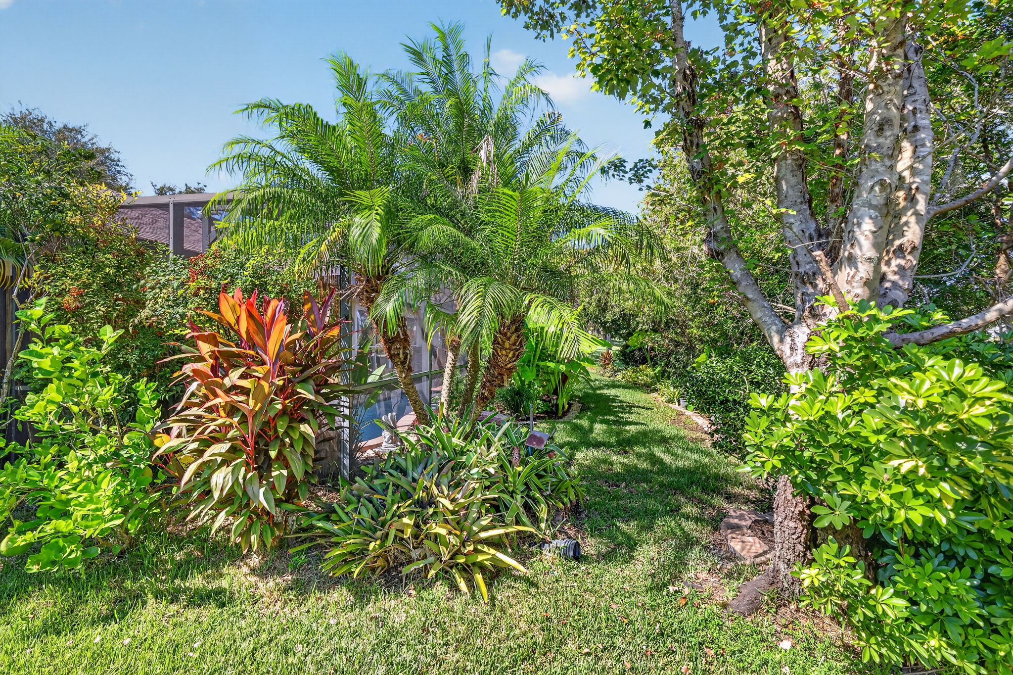 Rear and Side Elevation with Tropical PRIVACY Landscaping!