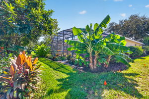 Rear and Side Elevation with Tropical PRIVACY Landscaping!