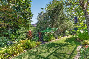 Tropical PRIVACY Landscaping!