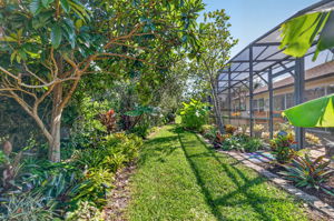 Rear Elevation with Tropical PRIVACY Landscaping!