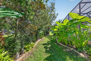 Rear Elevation with Tropical PRIVACY Landscaping!