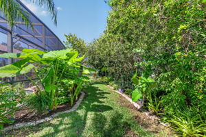 Rear Elevation with Tropical PRIVACY Landscaping!