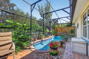 Lagoon Swimming Pool with Waterfall and Tropical PRIVACY Landscaping!