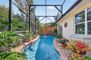 Lagoon Swimming Pool with Waterfall and Tropical PRIVACY Landscaping!