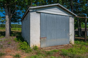  Photo 46