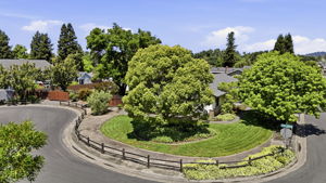 007_f8_AERIAL_6123 Tamara Ln