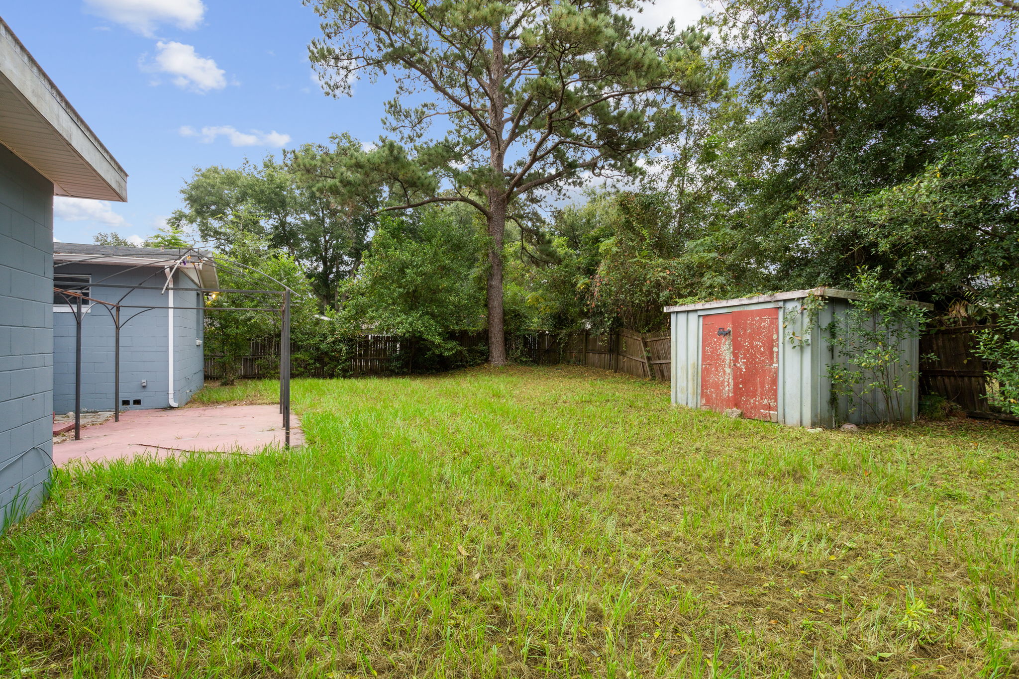 Backyard