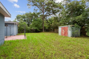 Backyard