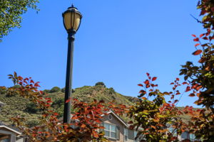  Photo 49