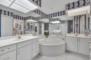 Master Vanity and Tub