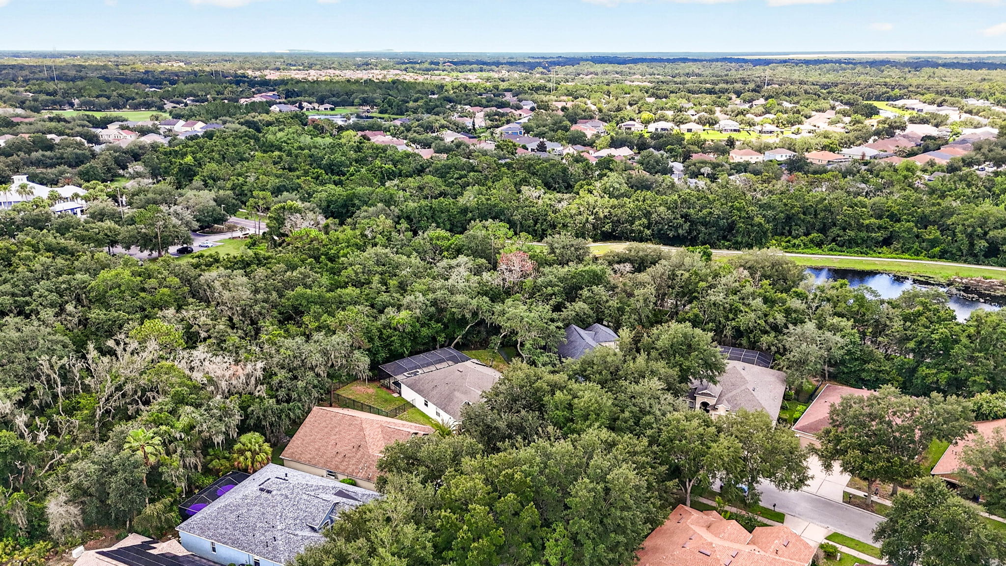  Photo 86