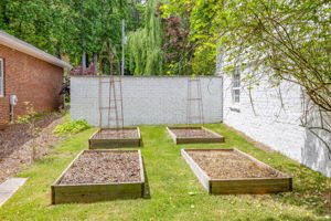 Image-49