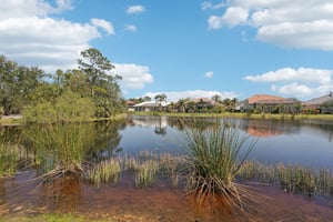 Pond Willow Ln-047.jpg