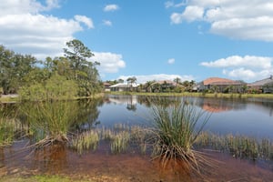 Pond Willow Ln-047r.jpg