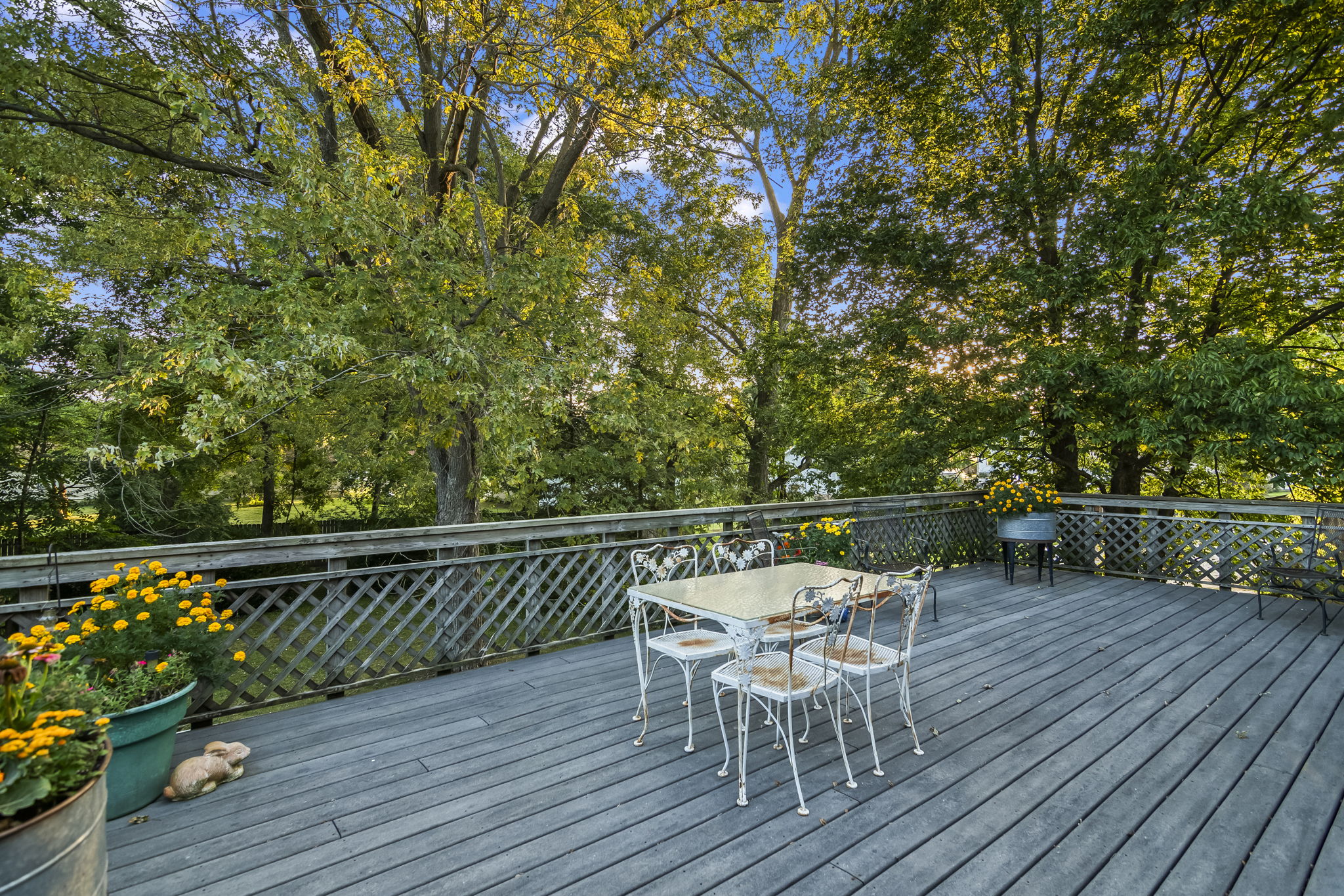 Back Patio