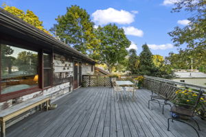 Back Patio