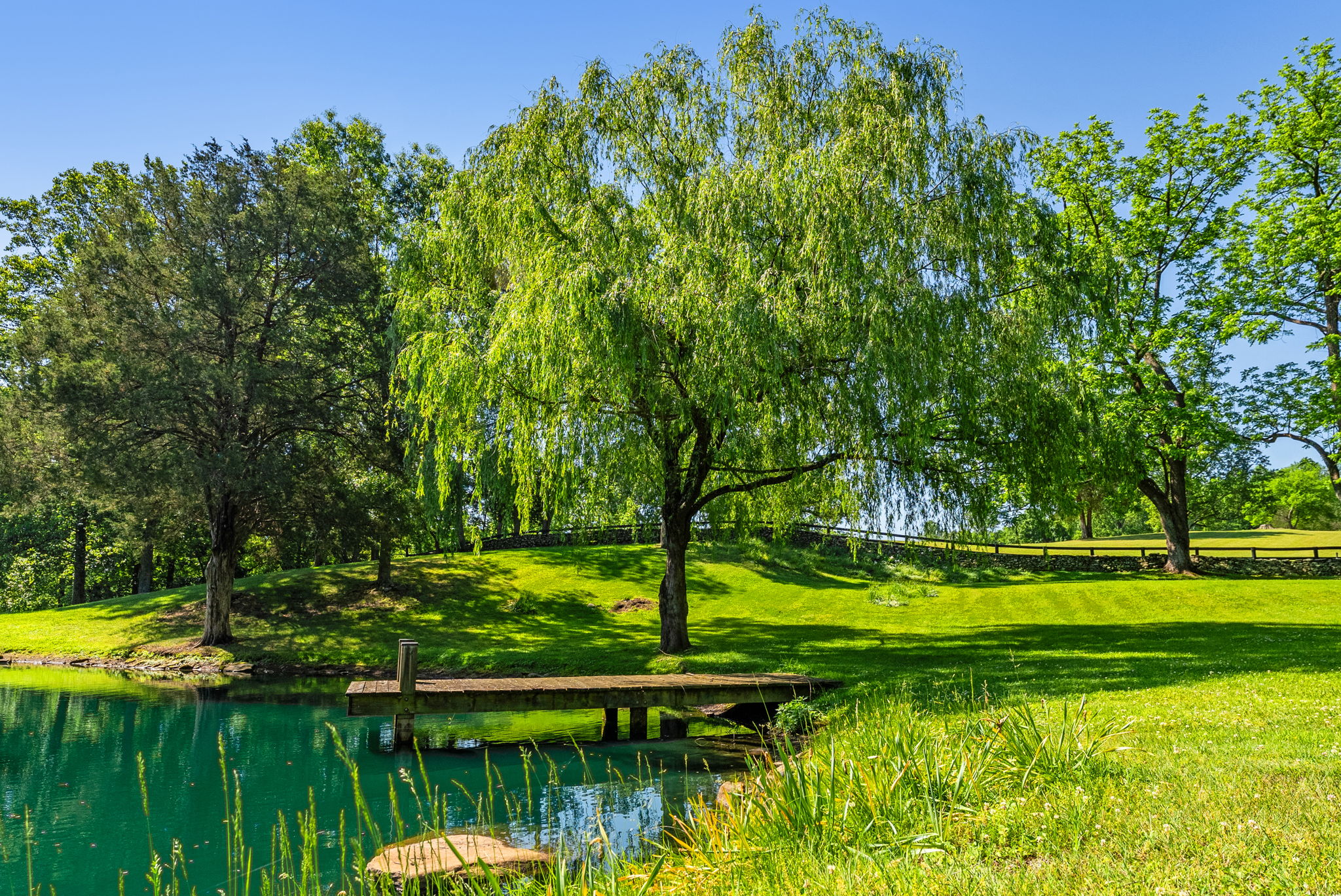 Pond