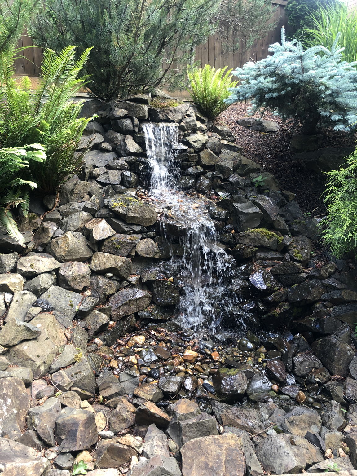 Water Feature