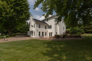 56-Back View