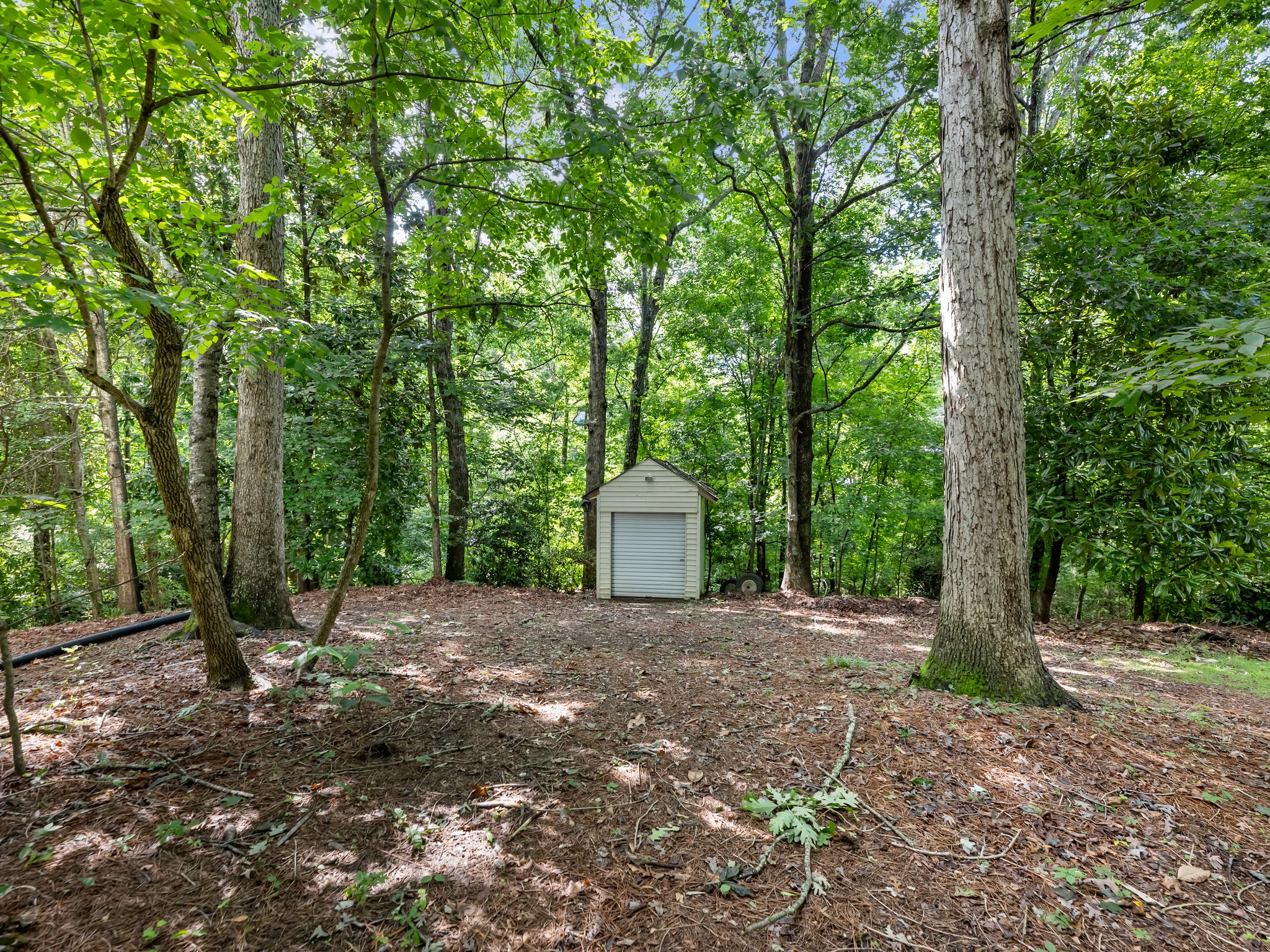 Back Yard Shed