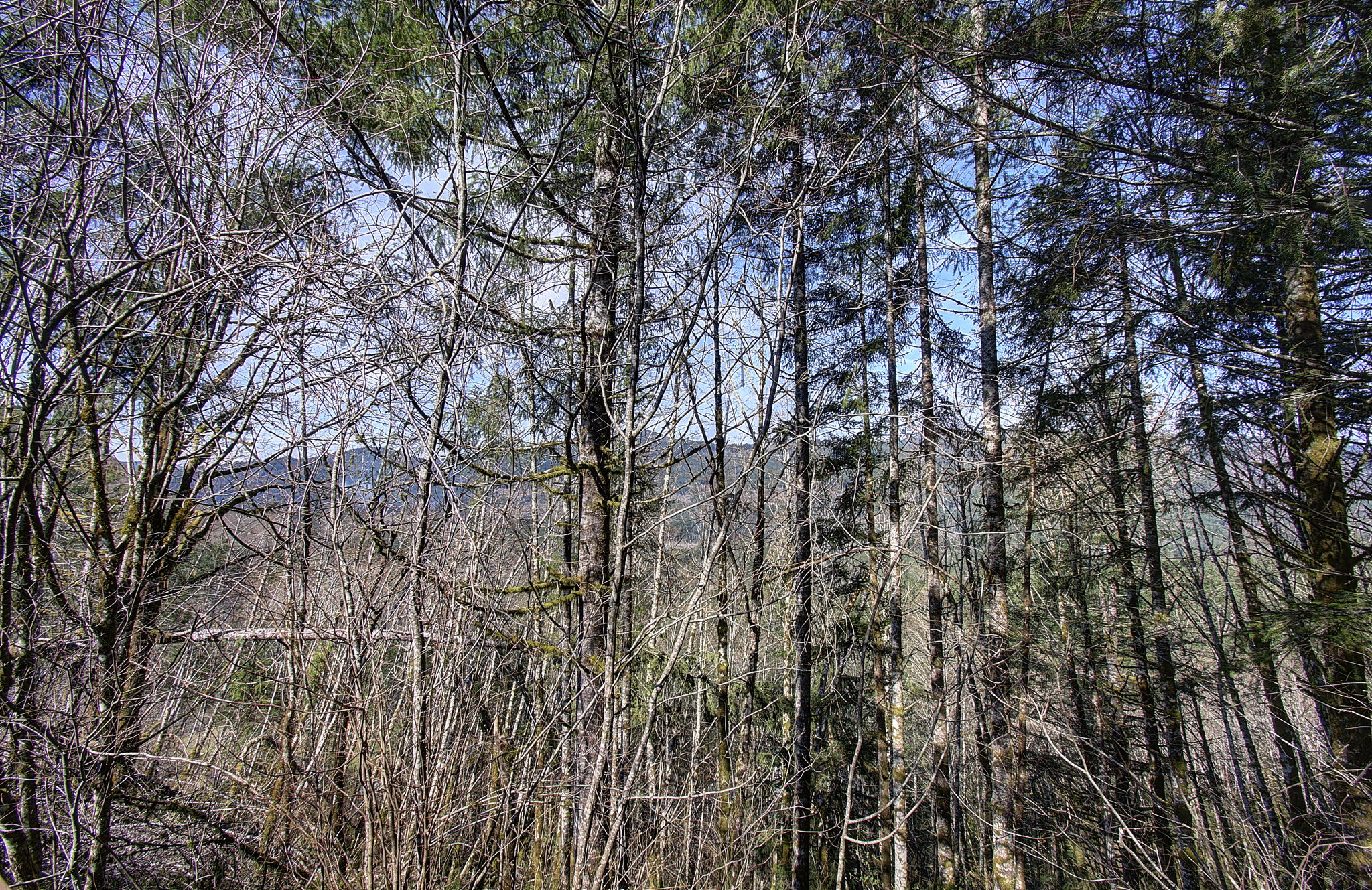  Photo 49