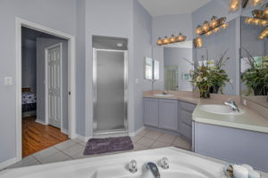 Master Bathroom1b