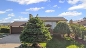  Photo 0