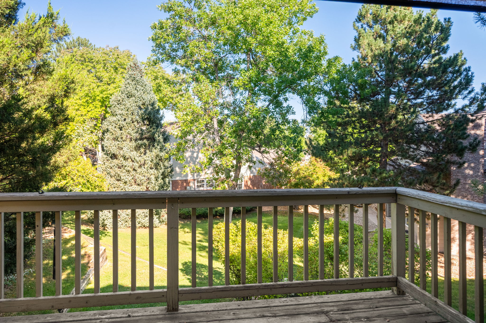 Greenbelt from Deck