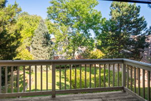 Greenbelt from Deck