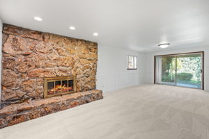 Basement Family Room