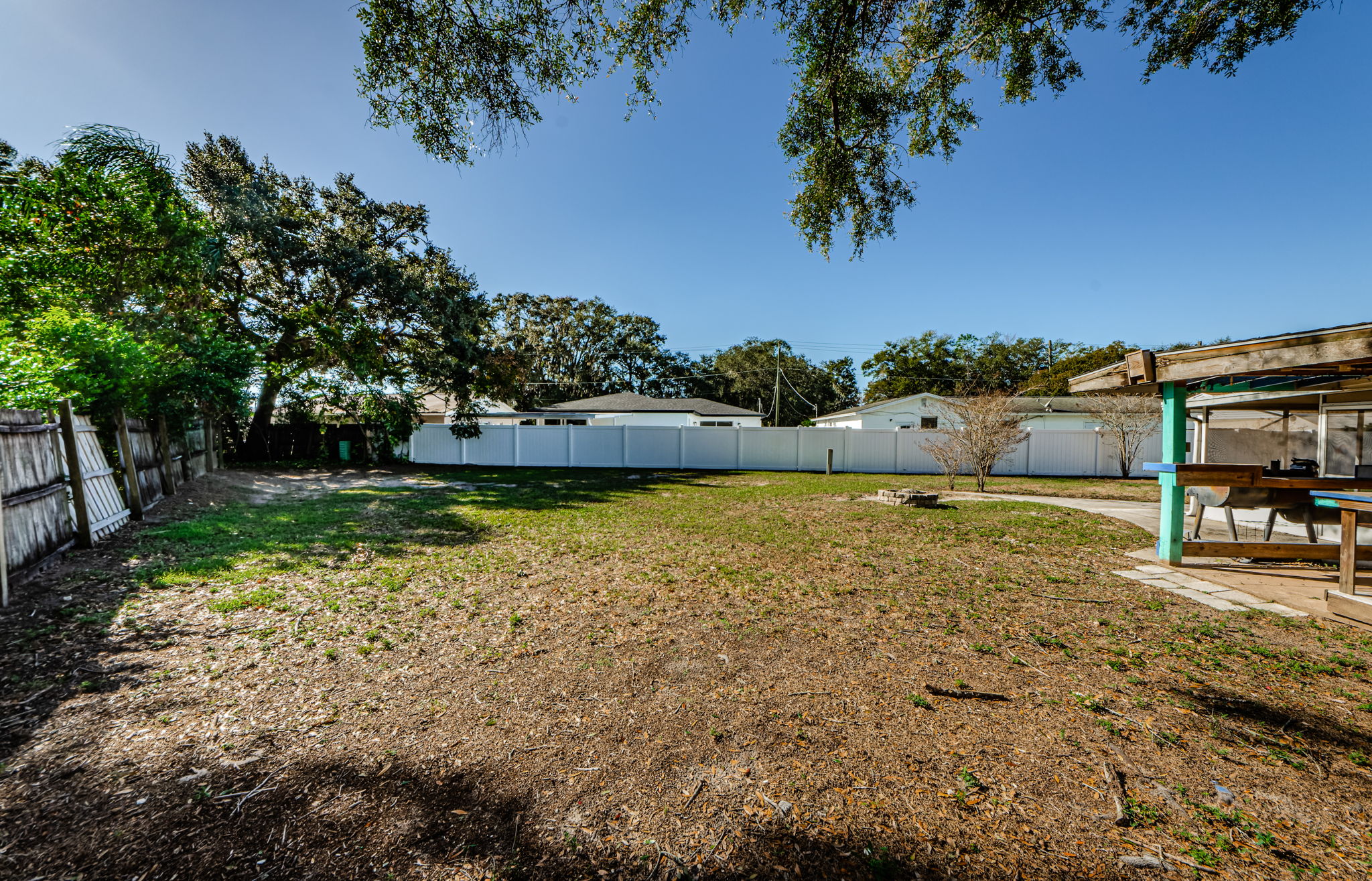 Backyard 5