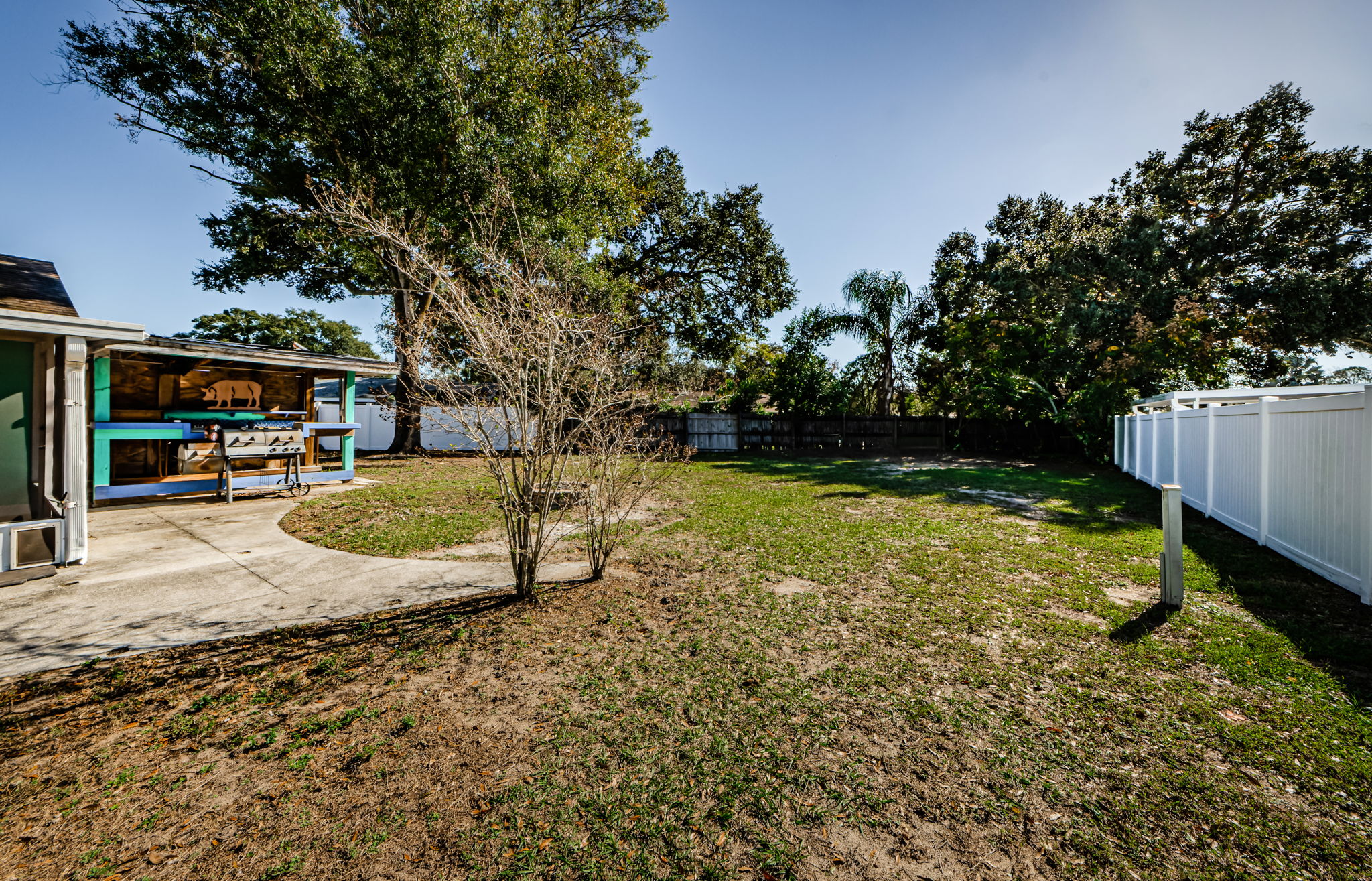 Backyard 3
