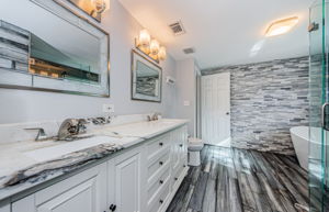 Master Bathroom 1b