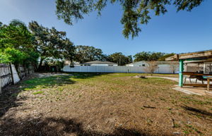 Backyard 5