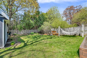 48-backyard1