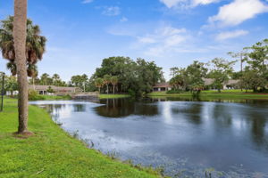 Backyard towards amenities