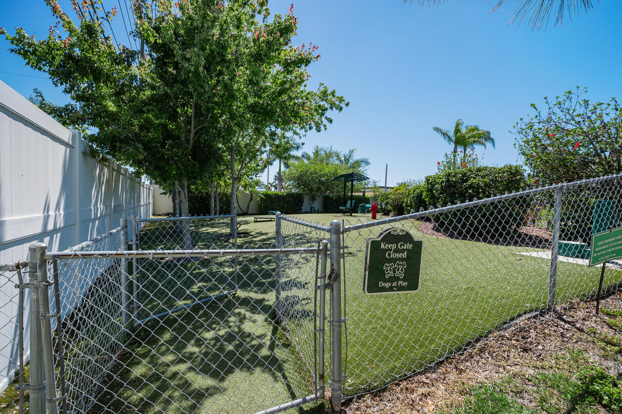 Dog Park1