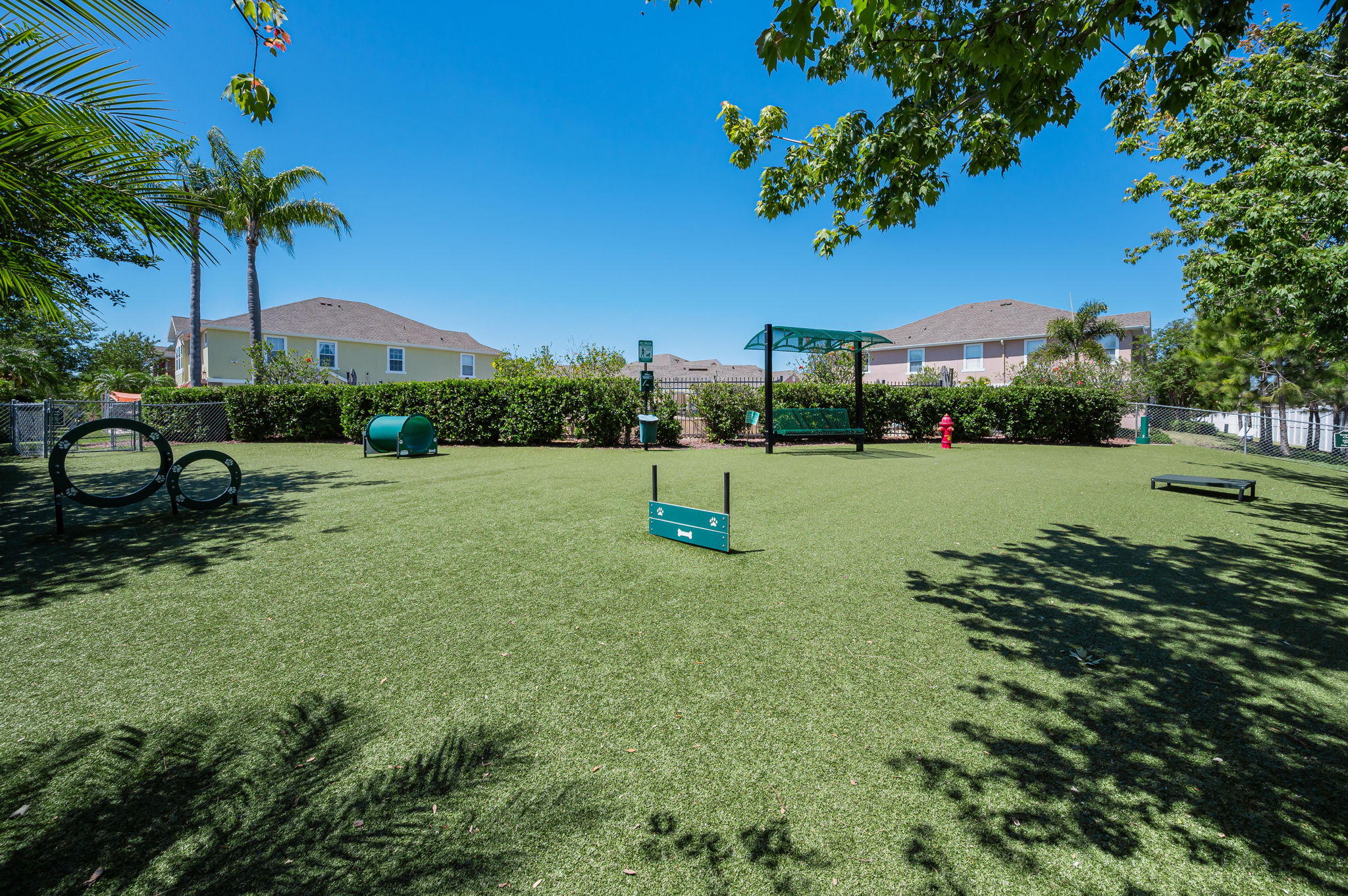Dog Park4