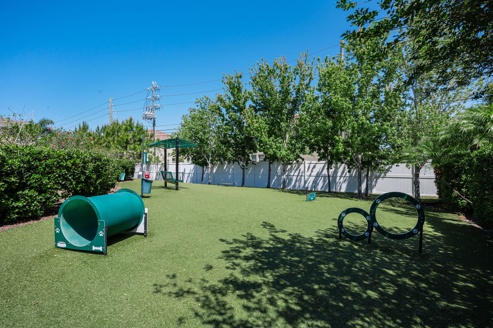 Dog Park6