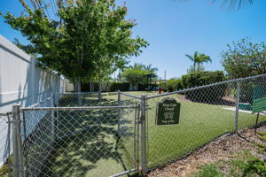 Dog Park1
