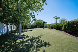 Dog Park2