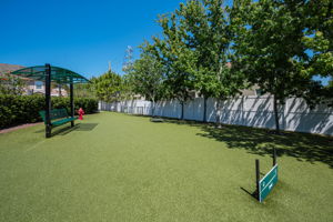 Dog Park7