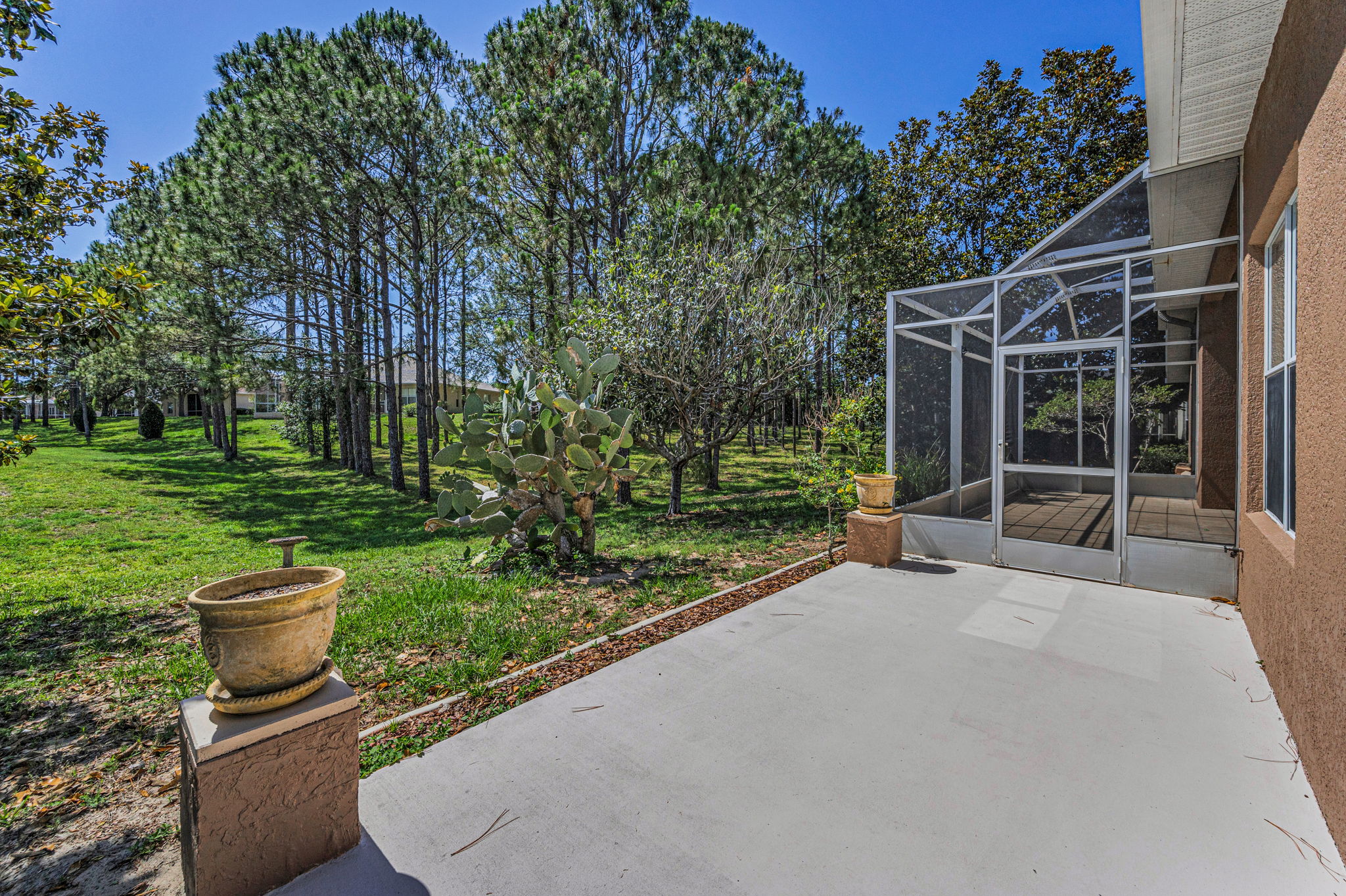 Patio2