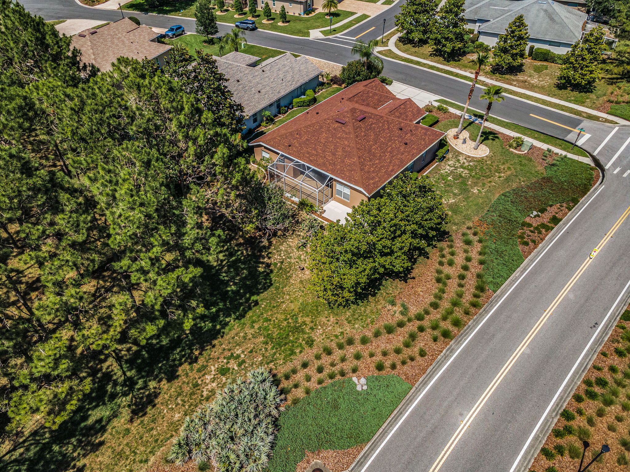 Aerial (14)