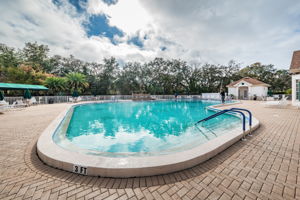 19-Pool