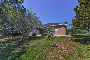 Backyard4