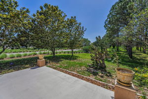 Patio1